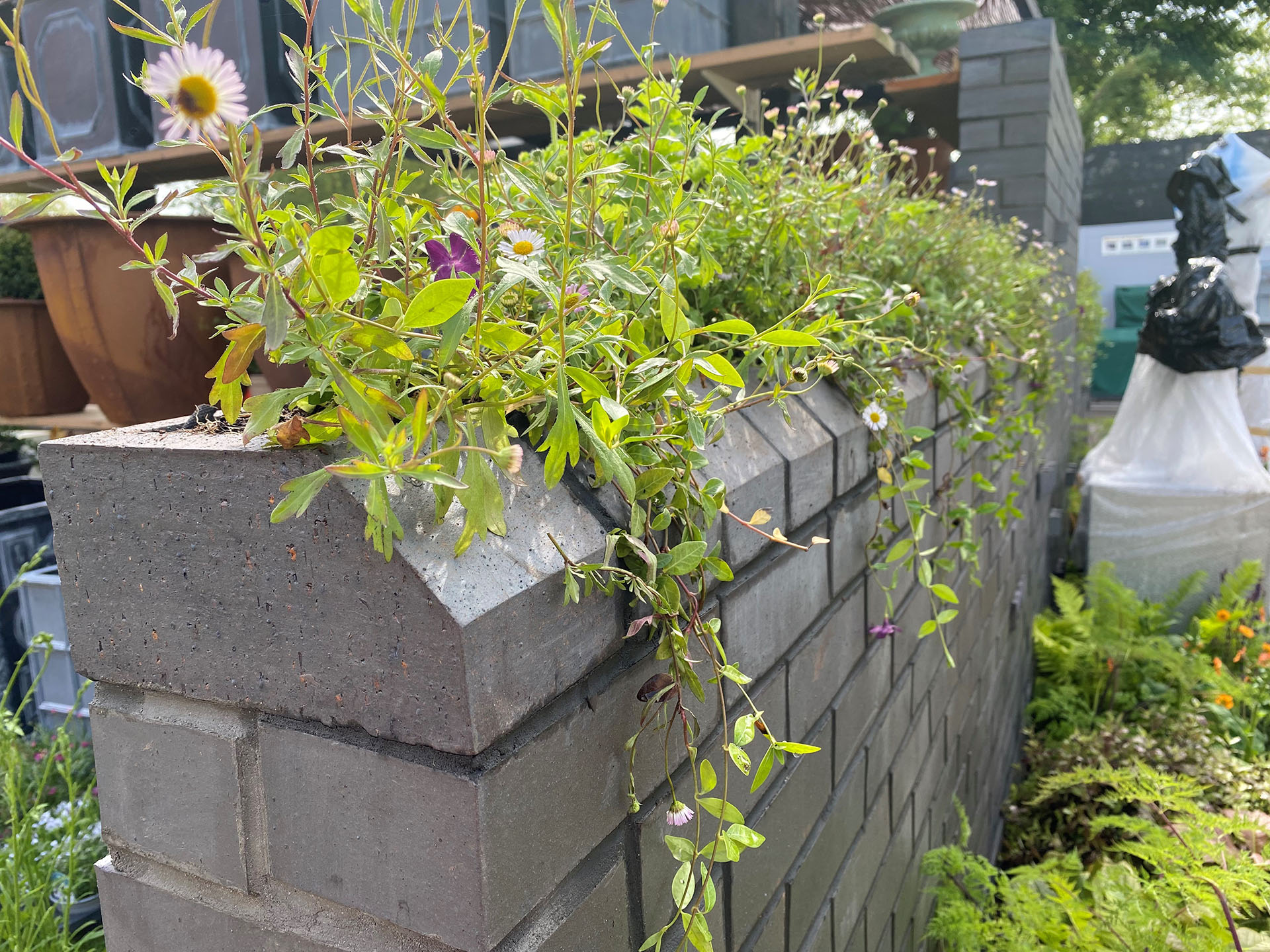 Ketley planter bricks at RHS Chelsea 2024