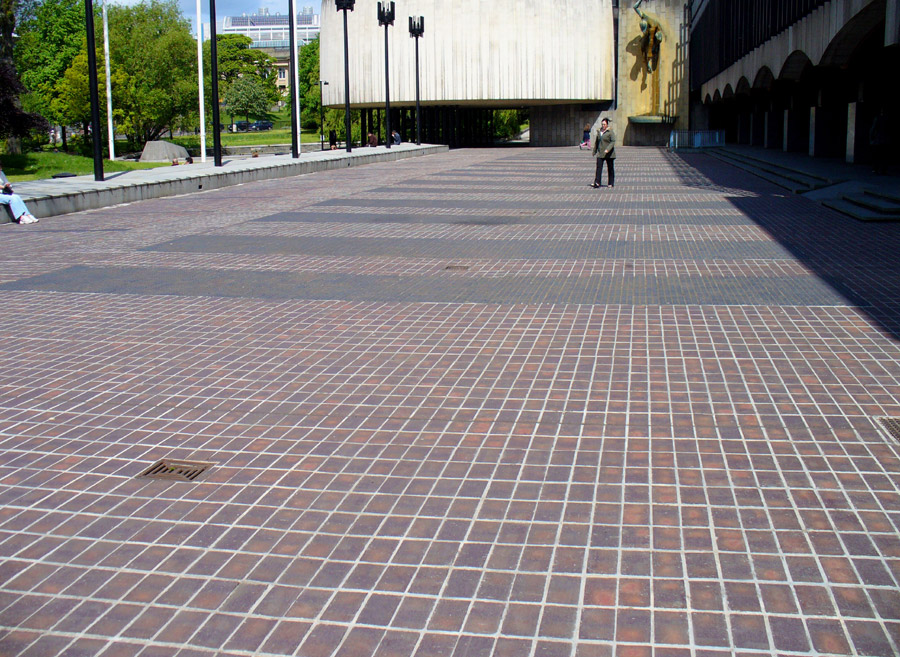 plain Brown Brindle and patterned blue pavers at Newcastle Civic Centre