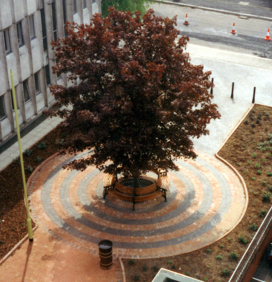 Rings of Ketley Red and Blue Pavers