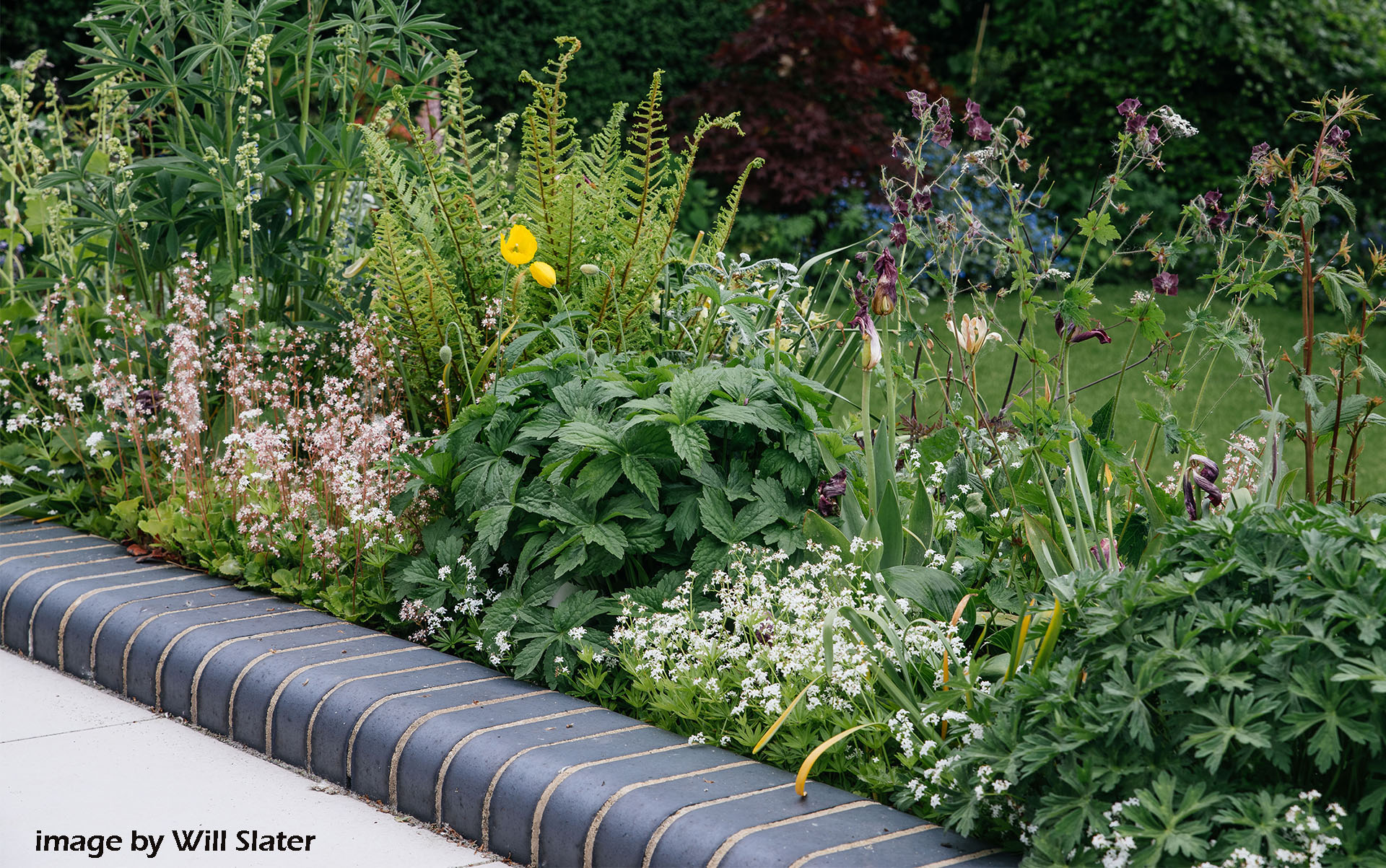 Staffordshire blue bricks at a garden by designer Victoria Philpott