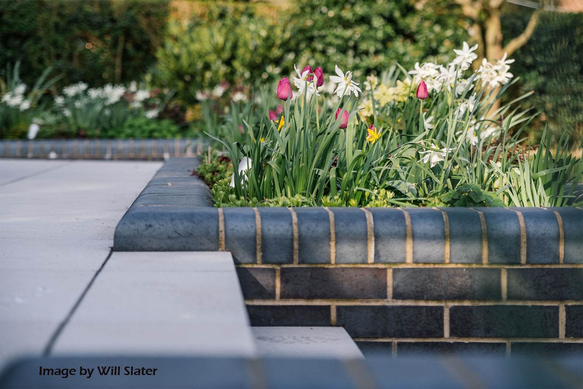 Staffordshire blue bricks in a garden by designer Victoria Philpott