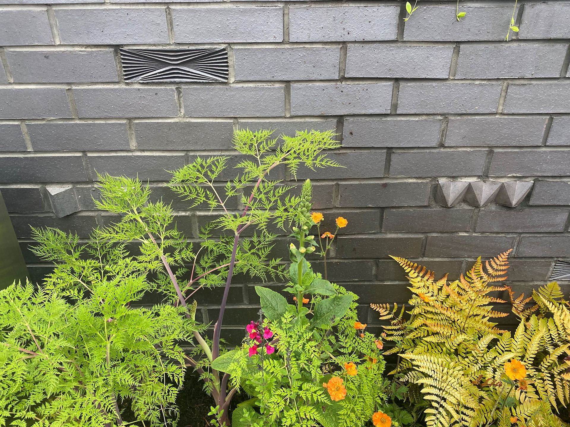 Staffs blue brick slips with random Vision bricks at RHS Chelsea 2024