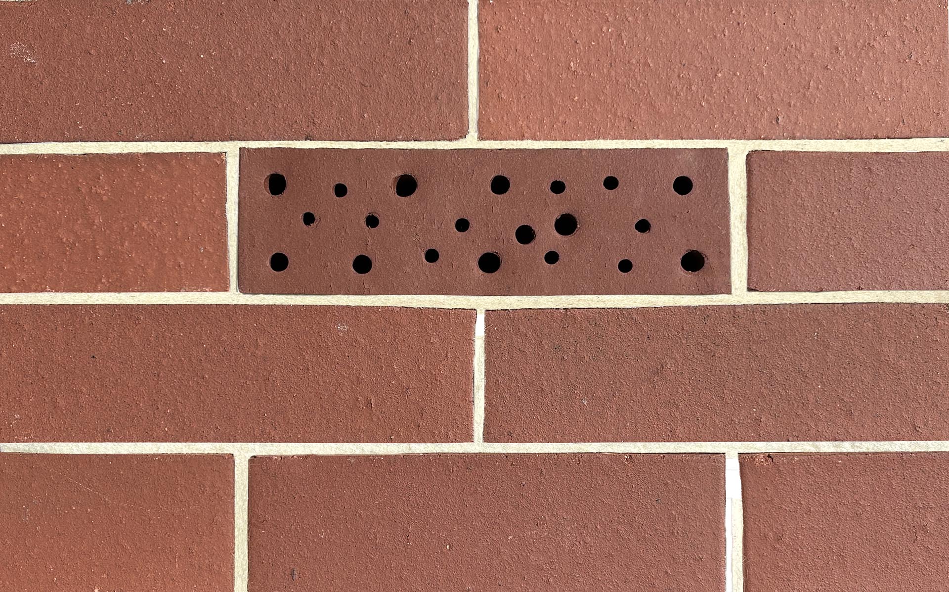 bee panel red