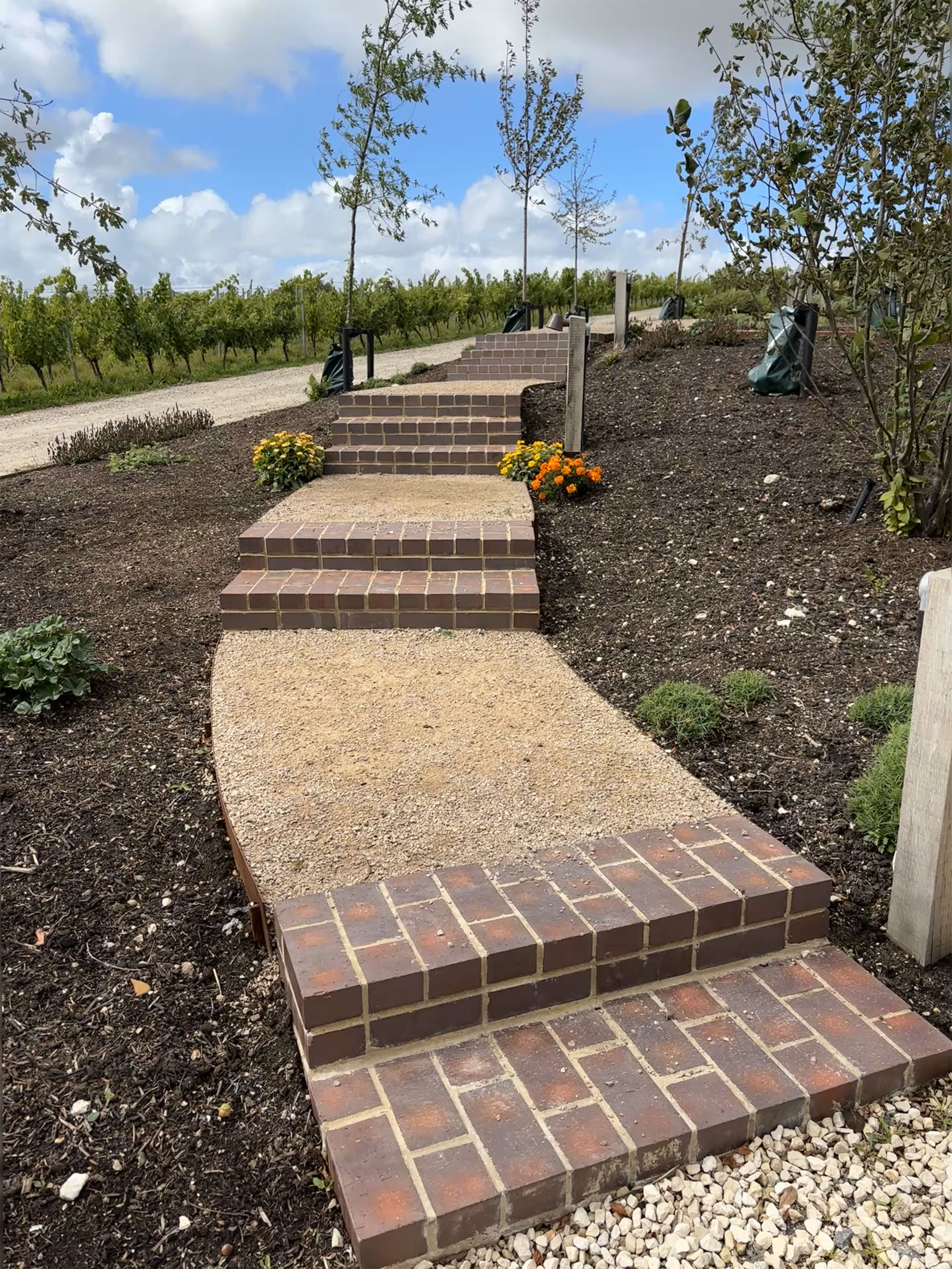 brown brindle pavers at Hambledon Vineyard in the South Downs