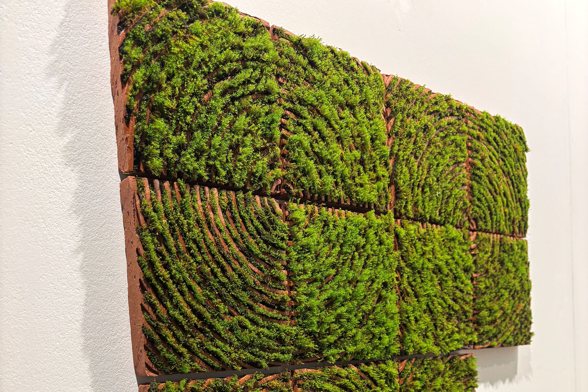 moss tiles