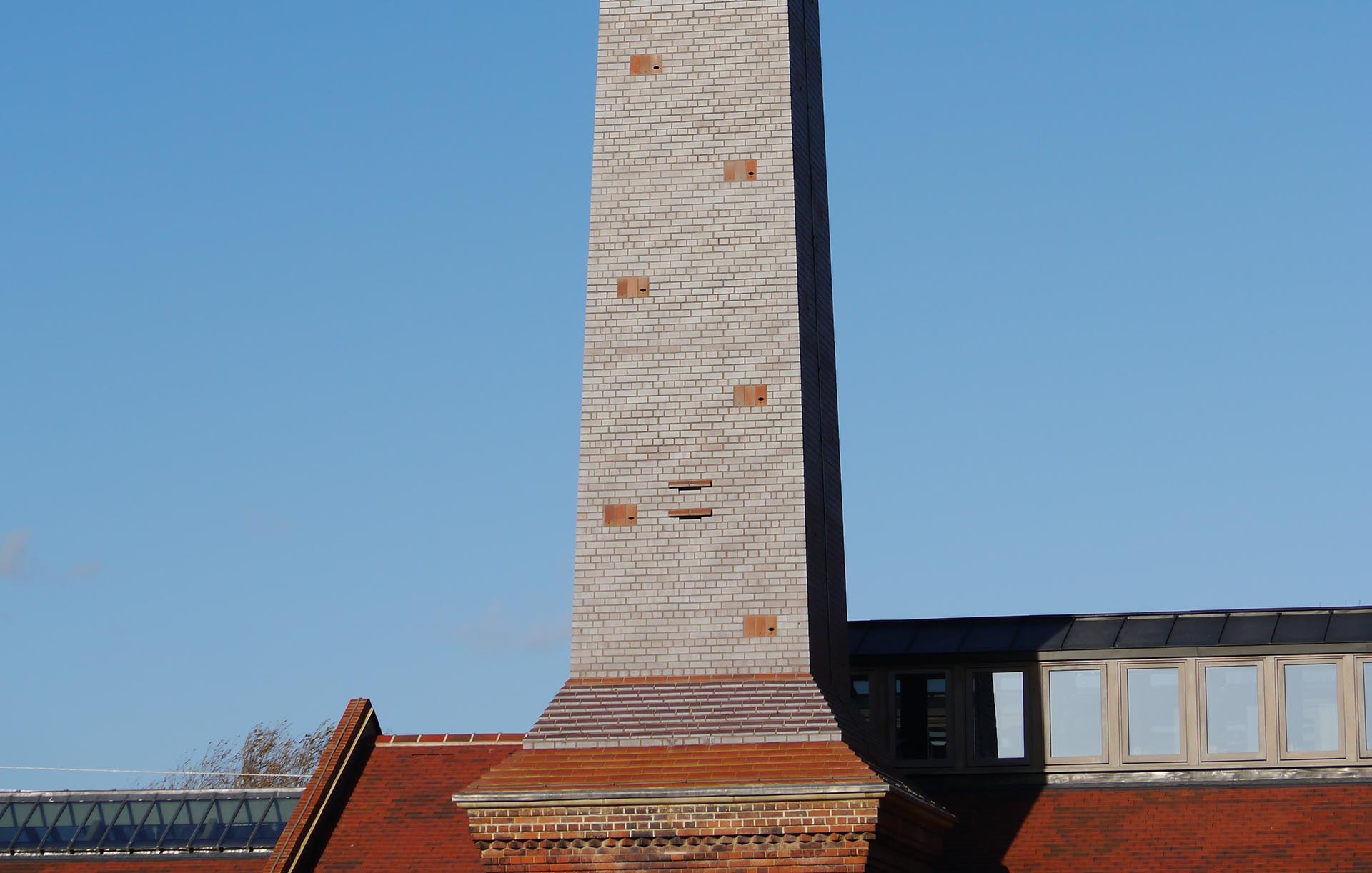 swift boxes at Walthamstow