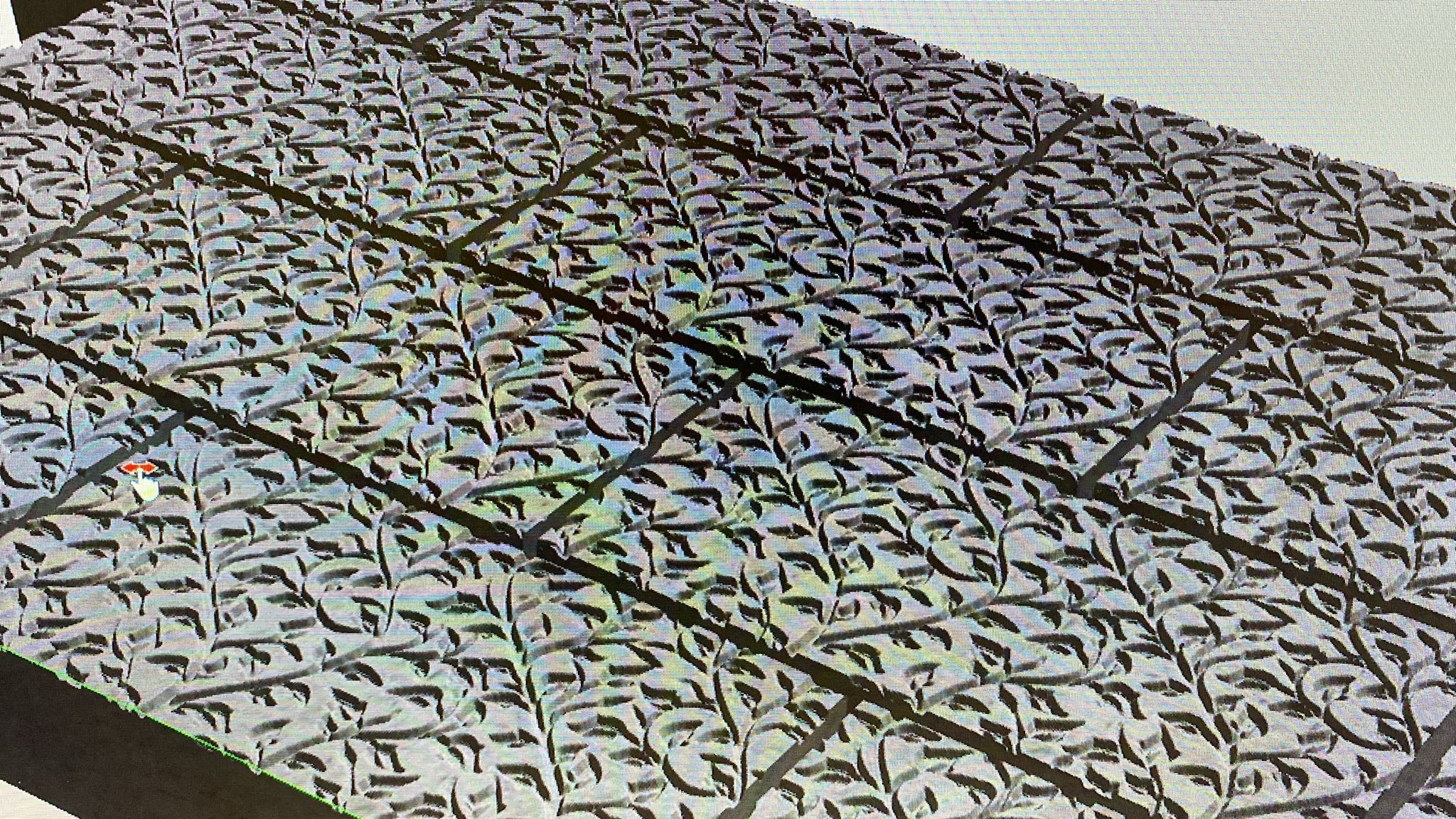 vine etched pavers